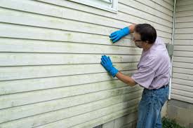 Affordable Siding Repair and Maintenance Services in Chesapeake Beach, MD